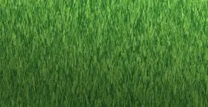 GV Endure 33 artificial grass surface close-up