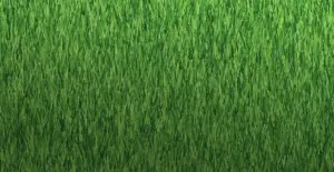 GV Fairway 20 artificial grass surface close-up (view 2)