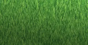 GV Fairway 20 artificial grass surface close-up