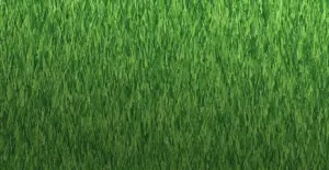 GV Grand 42 artificial grass surface close-up (view 2)