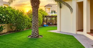 GV Royal 50 Green artificial grass lawn installation