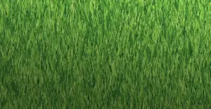 GV Sienna 35 artificial grass surface close-up