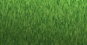 GV Tuscany 35 artificial grass surface close-up